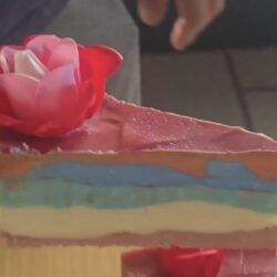 Zesty Citrus Cake Tallow Soap | Sparkly Pink Flower Bar, Handmade Artisan Skincare, Small Batch Gift for Her