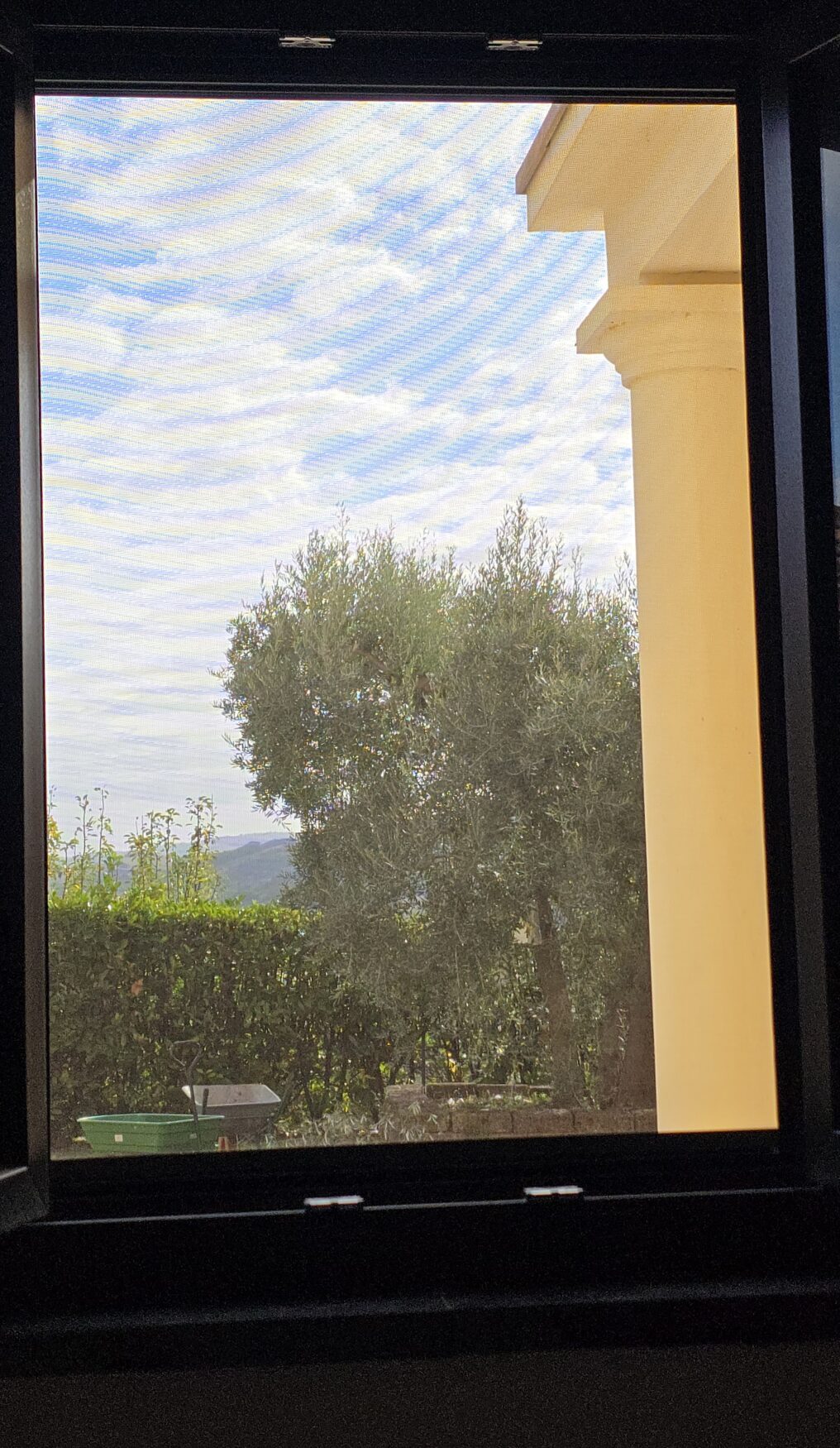 Front garden view from Rosa